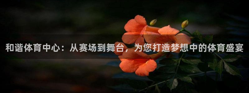 米兰体育官网下载招商：和谐体育中心：从赛场到舞台，为