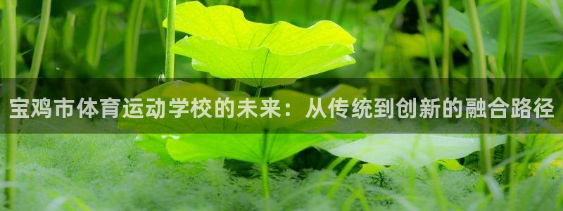 米兰体育官方正版app神州：宝鸡市体育运动学校的未来