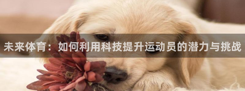 米兰体育官网下载：未来体育：如何利用科技提升运动员的