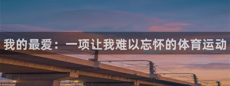 米兰体育官网下载平台注册要钱吗安全吗：我的最爱：一项