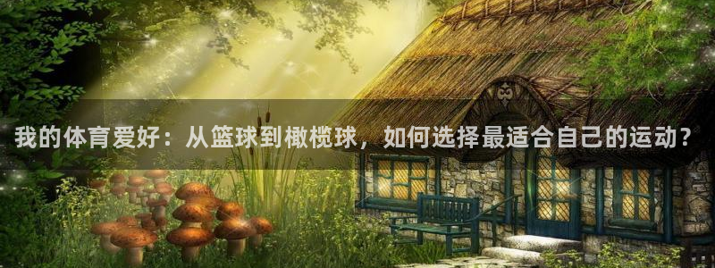 米兰体育官方正版app集团官网首页网址：我的体育爱好