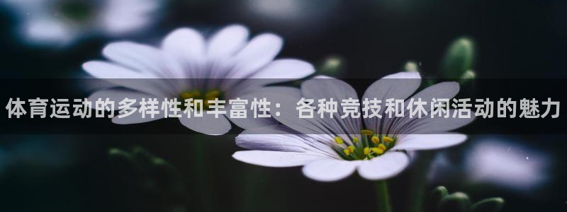 米兰体育官方正版app官方：体育运动的多样性和丰富性：各种竞