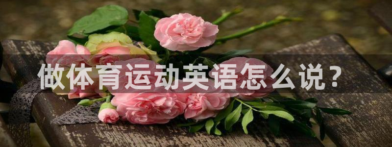 米兰体育官网下载平台注册要钱吗安全吗：做体育运动英语