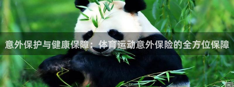 米兰体育官网下载开户：意外保护与健康保障：体育运动意