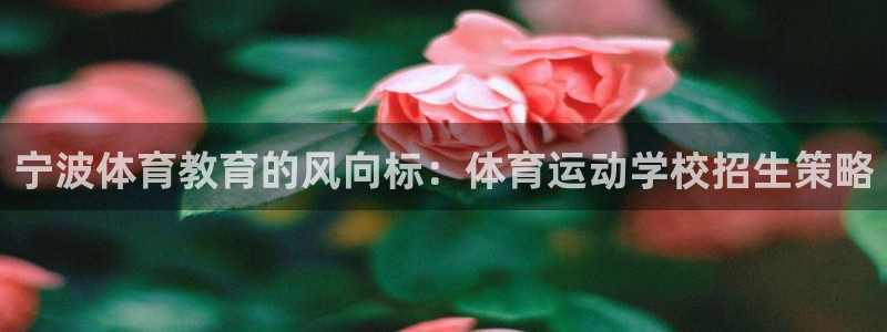 米兰体育官网下载平台假的吗是真的吗：宁波体育教育的风向标：体