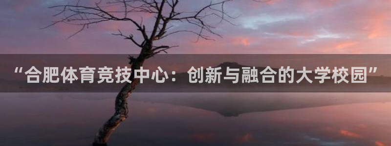 米兰体育官网下载平台假的吗是真的吗：“合肥体育竞技中心：创新