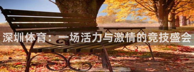 米兰体育官方正版app娱乐首页网站大全：深圳体育：一场活力与