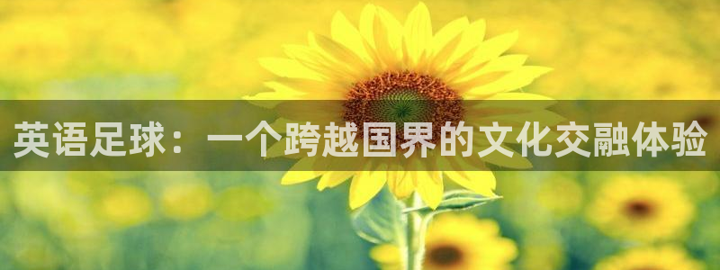 米兰体育官网下载招商电话号码查询：英语足球：一个跨越