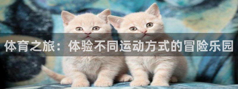 米兰体育官方正版app五金厂：体育之旅：体验不同运动方式的冒