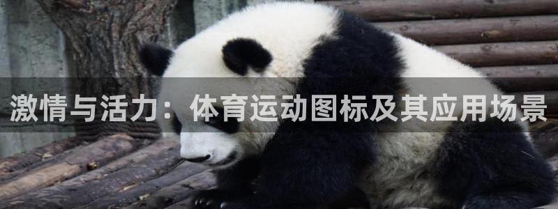 米兰体育官方正版app开户：激情与活力：体育运动图标及其应用
