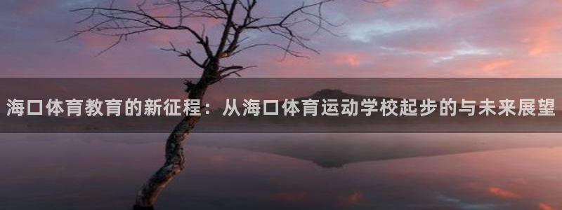 海南米兰体育官网下载：海口体育教育的新征程：从海口体育运动学