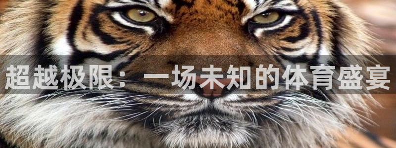 米兰体育官网下载招商电话地址查询：超越极限：一场未知的体育盛