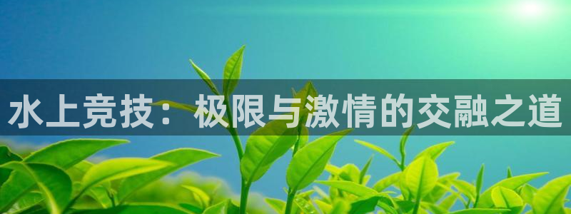 米兰体育官方正版app代理